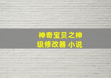 神奇宝贝之神级修改器 小说